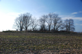 Beebe Family Cemetery in Kankakee County, Illinois