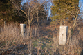 Concordia Cemetery in Kankakee County, Illinois