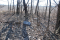 Old State Hospital Cemetery in Kankakee County, Illinois