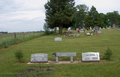 Westfall Cemetery in Knox County, Illinois