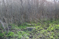 Nevada Cemetery in Livingston County, Illinois