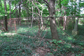 Gouge Cemetery (aka Crum) in Macon County, Illinois