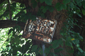 Muirheid Cemetery in Macon County, Illinois