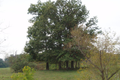 Solomon G O Cemetery in Macoupin County, Illinois