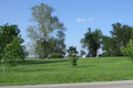 Deck Cemetery in Madison County, Illinois