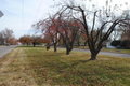 Emmert Cemetery in Madison County, Illinois