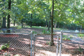 Old Settlement Cemetery in Mason County, Illinois