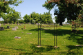 Odd Fellows Cemetery in Massac County, Illinois