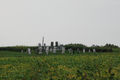 Parks Cemetery in Menard County, Illinois