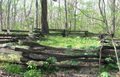 Bale Cemetery (at New Salem St Park) in Menard County, Illinois