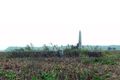 Wallace Cemetery in Monroe County, Illinois