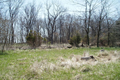 Williams Cemetery or Watson Cemetery in Montgomery County, Illinois