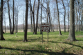 Street Cemetery in Montgomery County, Illinois