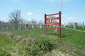 Camfield Cemetery in Moultrie County, Illinois