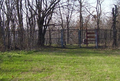 Ellis Cemetery in Moultrie County, Illinois