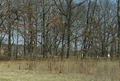 Purvis Cemetery in Moultrie County, Illinois