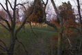 Souther Cemetery in Moultrie County, Illinois