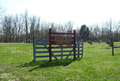 Whitfield Cemetery in Moultrie County, Illinois