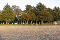 Harkness Grove Cemetery in Peoria County, Illinois