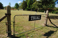 Trials / Trial Cemetery in Peoria County, Illinois