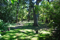 Bartonville State Hospital Cemetery II in Peoria County, Illinois