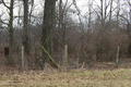 Argo Cemetery in Piatt County, Illinois