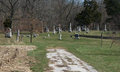 Ater Cemetery in Piatt County, Illinois