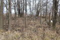 Boyer Cemetery in Piatt County, Illinois