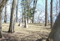 Haneline Cemetery in Piatt County, Illinois