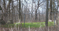 Marquiss Cemetery in Piatt County, Illinois