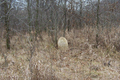 Moore Cemetery in Piatt County, Illinois