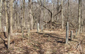 Pioneer Cemetery in Piatt County, Illinois