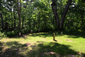 Pioneer Cemetery in Piatt County, Illinois