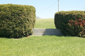 Nebo Cemetery in Pike County, Illinois