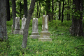 Thompson Family Cemetery in Saline County, Illinois