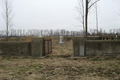 Foster Cemetery in Sangamon County, Illinois