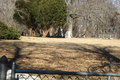 Jones Cemetery in Sangamon County, Illinois