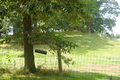 Armstrong Cemetery in Shelby County, Illinois