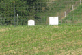 Cochran Cemetery in Shelby County, Illinois