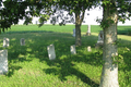 Ellis Cemetery in Shelby County, Illinois