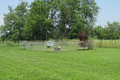 Hilligoss Cemetery in Shelby County, Illinois