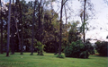 Old St. James Cemetery in St. Clair County, Illinois