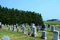 Freeport Mennonite Cemetery in Stephenson County, Illinois