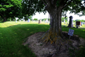 Silver Spring Cemetery in Stephenson County, Illinois