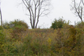 Rich Cemetery in Union County, Illinois