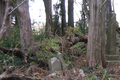 Bethel Cemetery in Washington County, Illinois