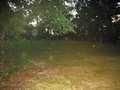 Cariens Cemetery in Wayne County, Illinois