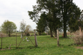 Posey Cemetery in Wayne County, Illinois