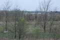 Bronson Cemetery in Will County, Illinois