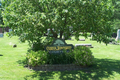 Custer Park Cemetery in Will County, Illinois